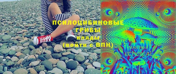 сатива Михайловск