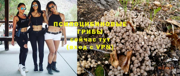 винт Михайловка