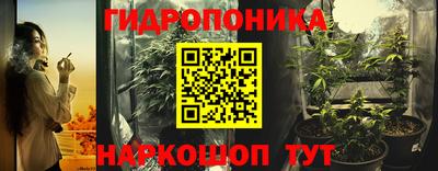 шишки Изобильный