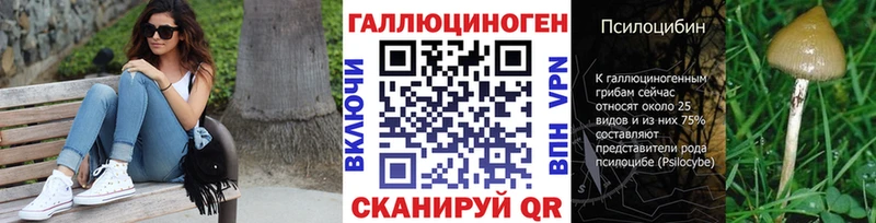 kraken зеркало  как найти   Красноярск  Псилоцибиновые грибы мицелий 