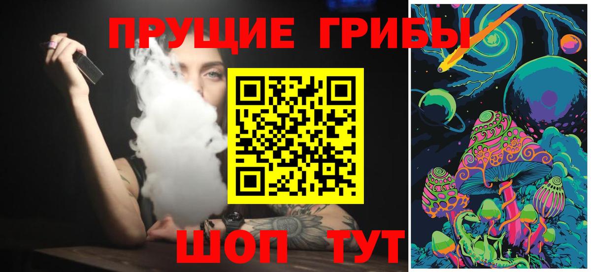 Псилоцибиновые грибы Psilocybine cubensis Красноярск