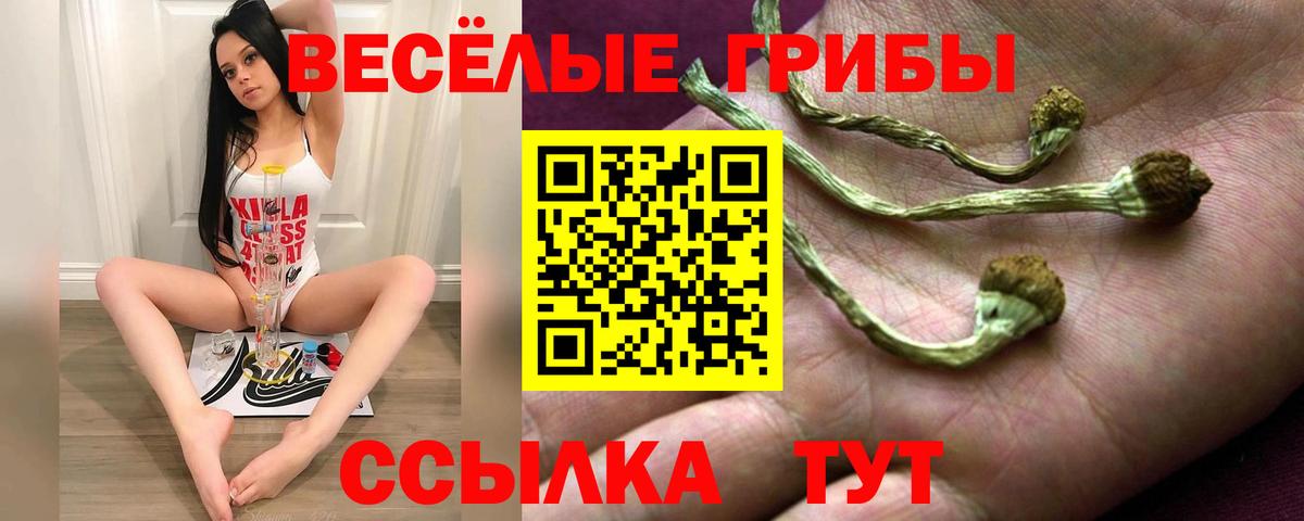 Красноярск  Псилоцибиновые грибы Psilocybe  Вход с VPN 