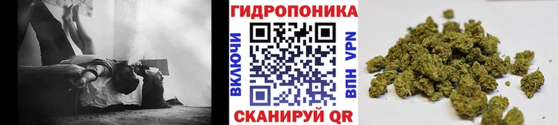 Каннабис Ganja  Красноярск 